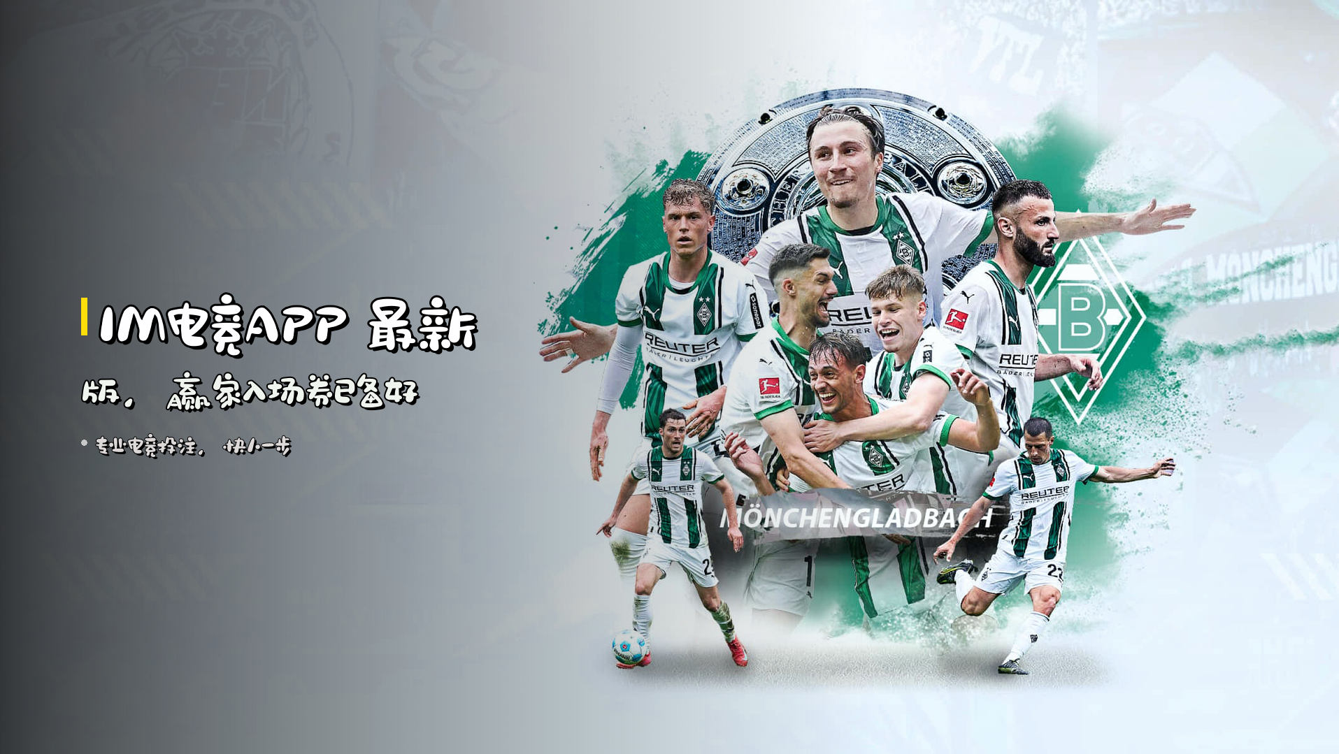 <strong>IM电竞APP</strong> 最新版，赢家入场券已备好